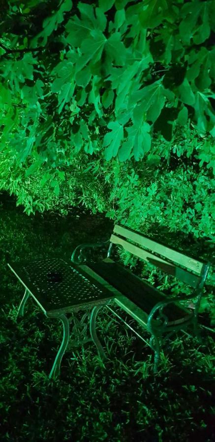 Naturist Angel Nudist Club Hotel - Adults Only 페러데이션 외부 사진